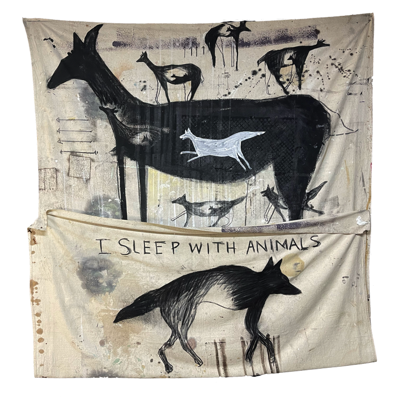 sleep1